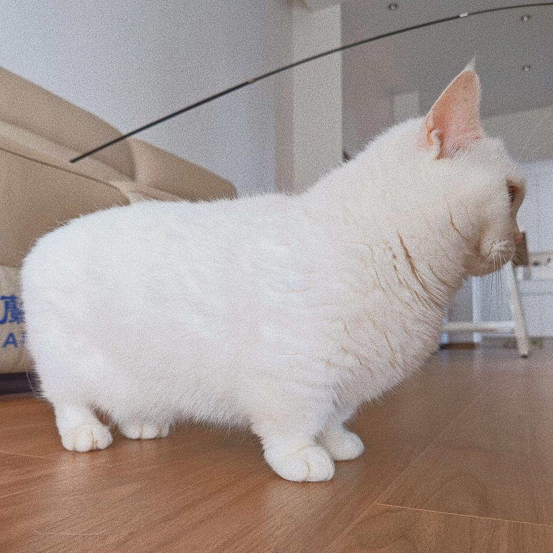 江