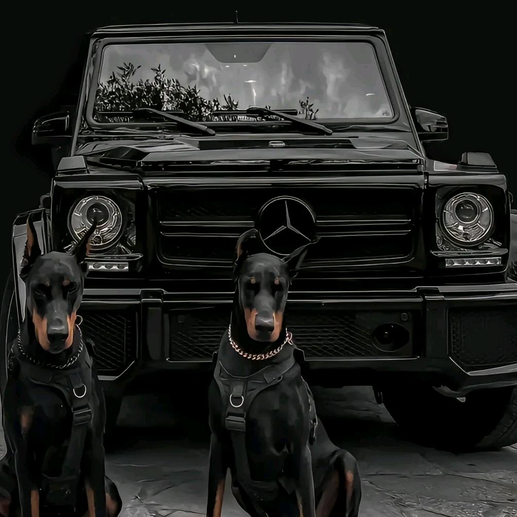 阿龙（景程车业）