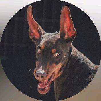 阿萨谢尔（性转版）