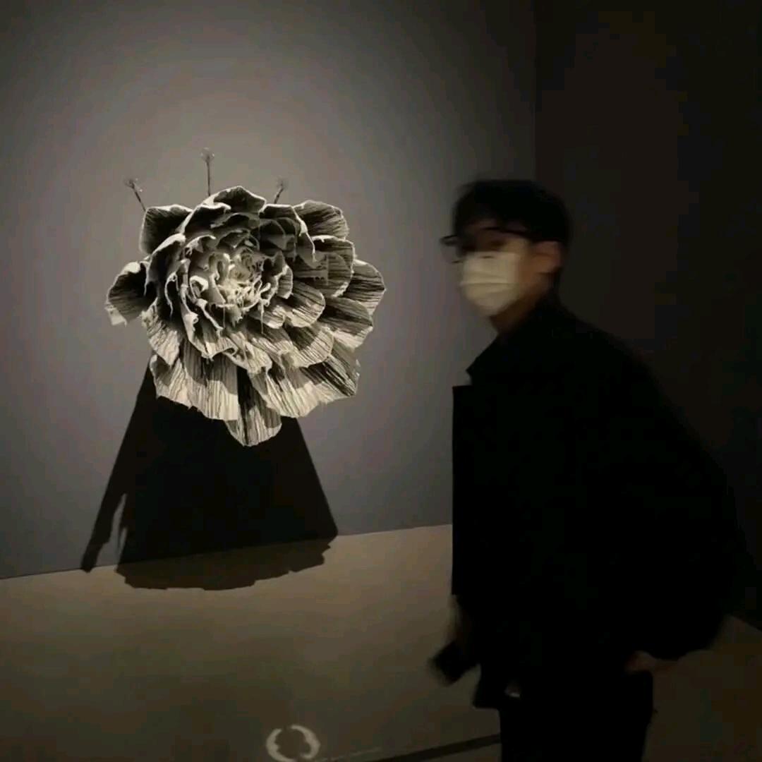 A李刘续