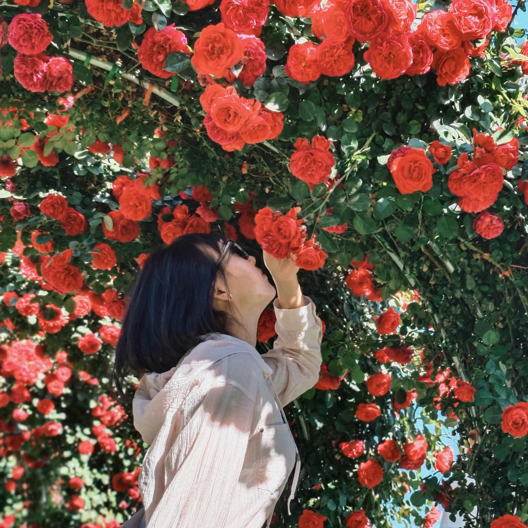 鑫鑫呐😘😘