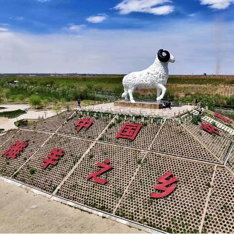 烤全羊批发（宁夏盐池滩羊）