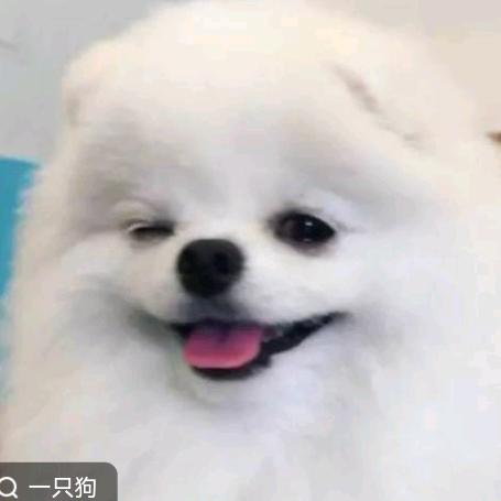 爱情(≧∇≦)/己停机