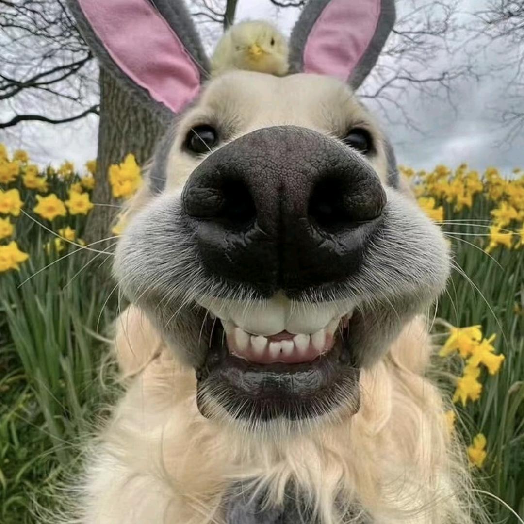 笑一笑十年少😊