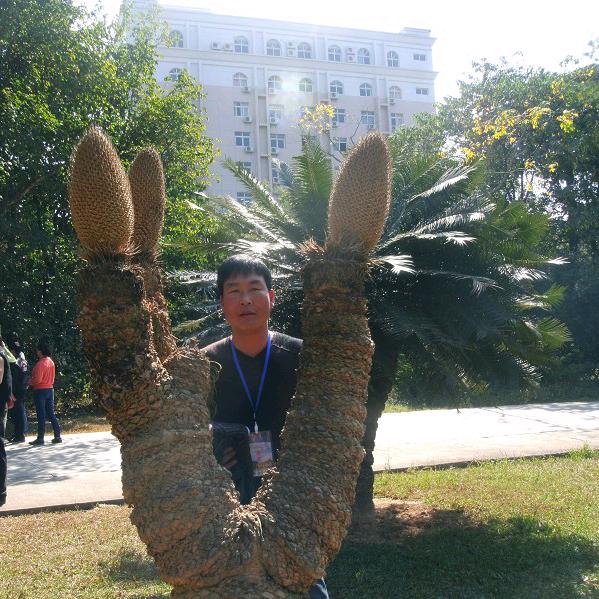 恒东生活优品