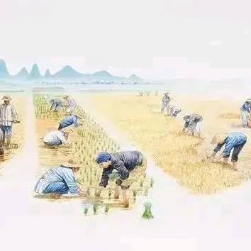 用户1669587316643