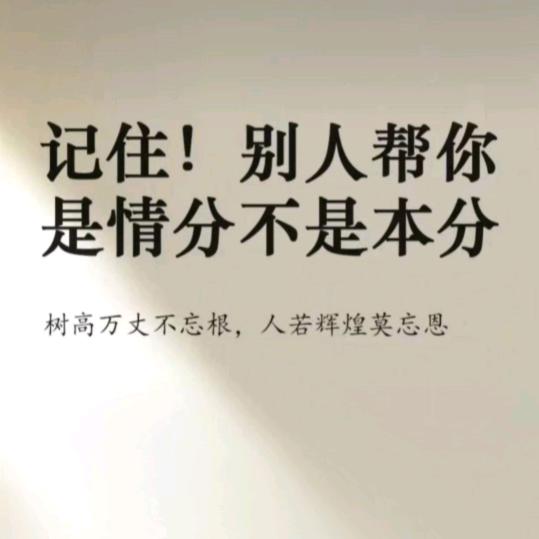 落叶无心