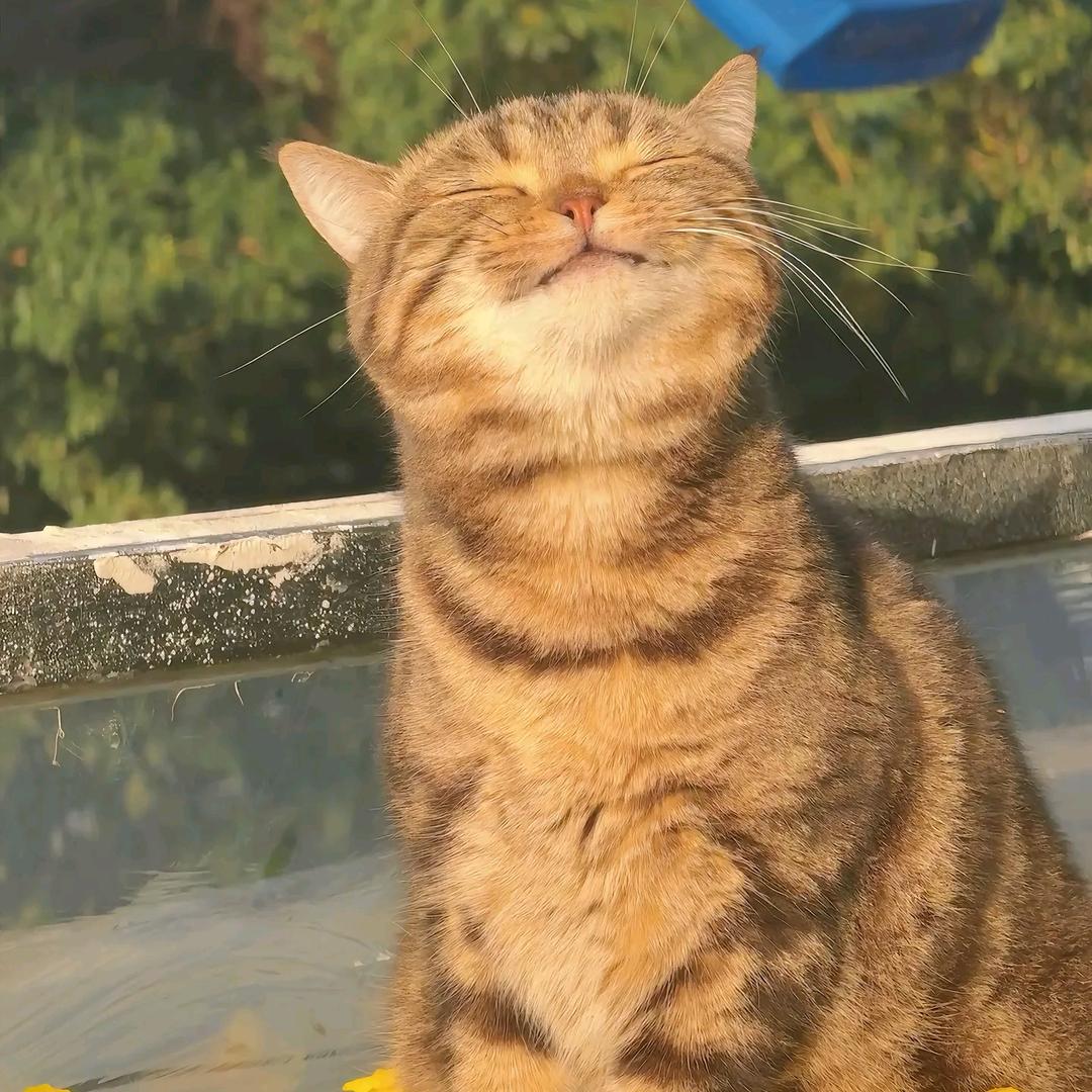 一口话梅一口烟