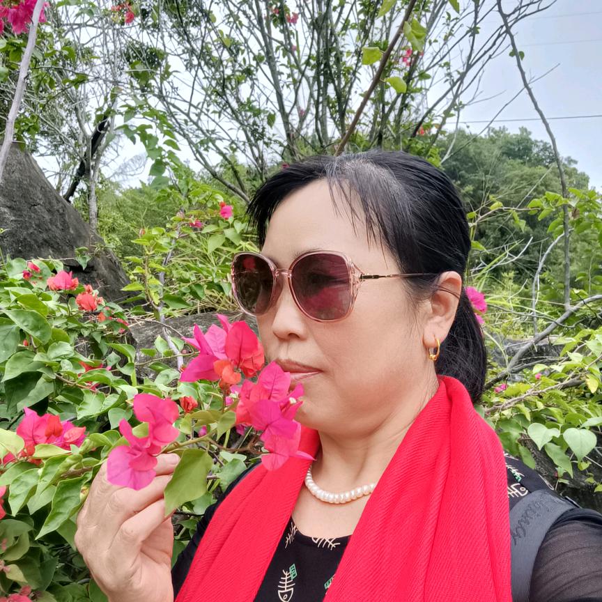 岁月如歌🌹