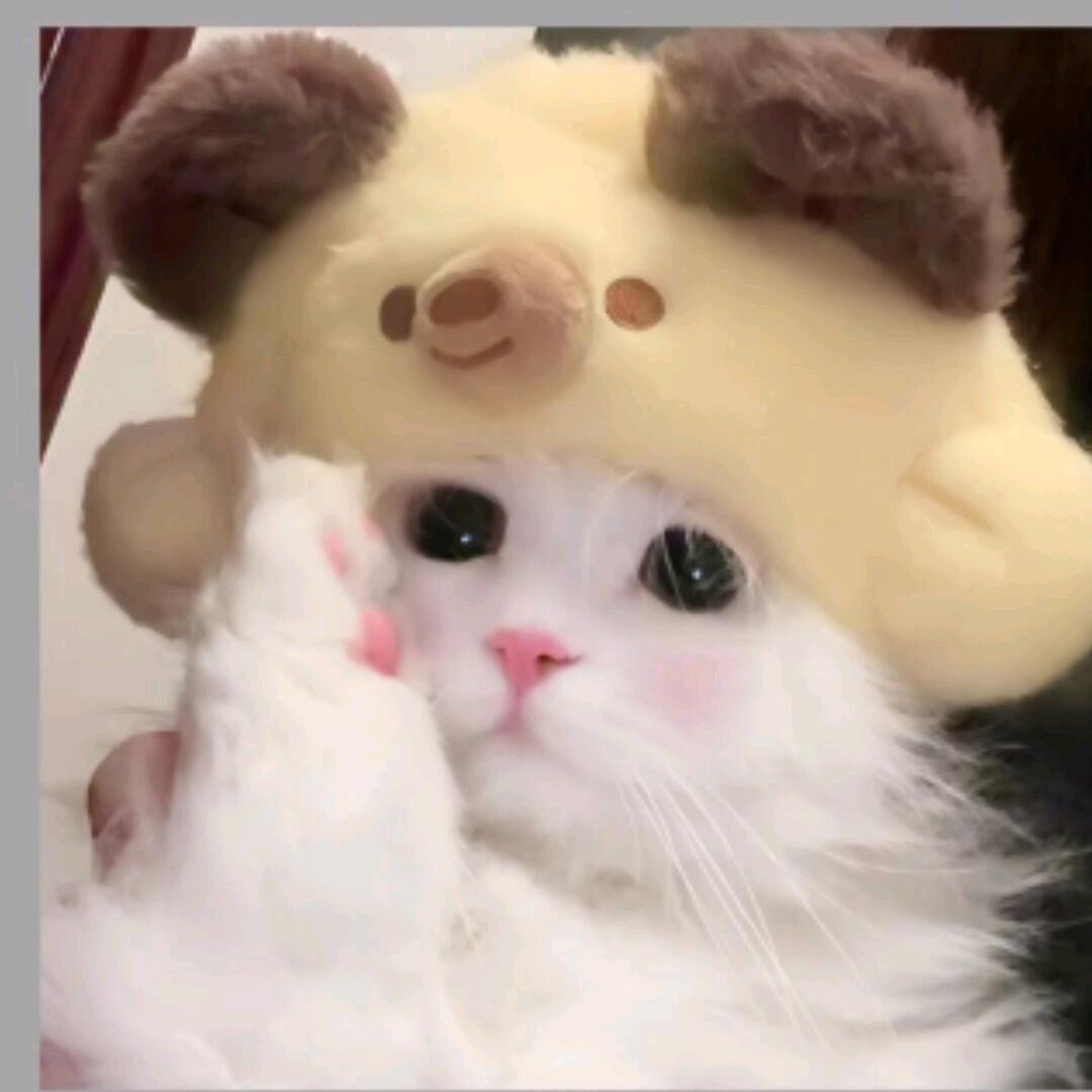 糖炒板栗