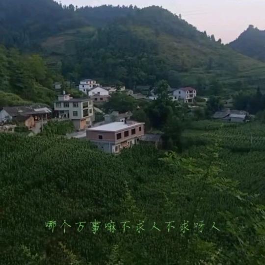 有缘再相聚