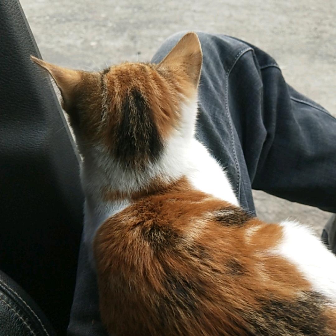 我就是我，不一样的烟火