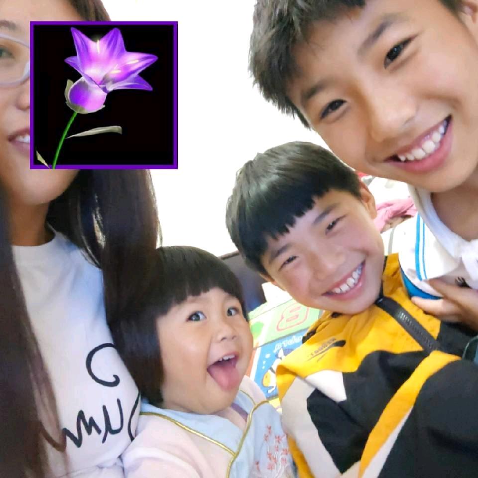 摘回家别让我枯萎