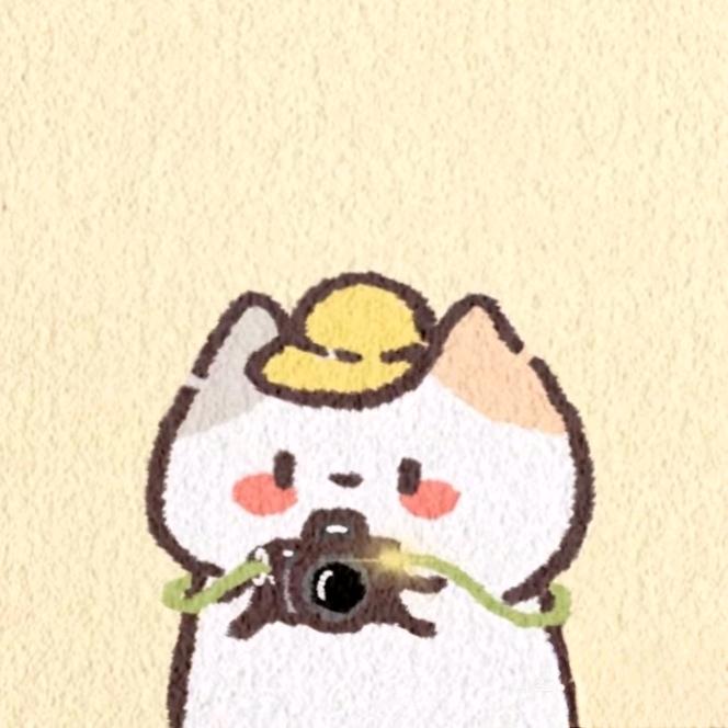 拾影🐧
