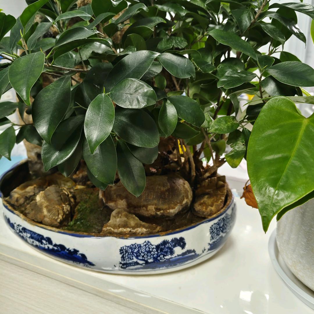 💕ꦿ҉好ᨶ႒ᩚ运ᥫᩣ໌້ᮨ加满