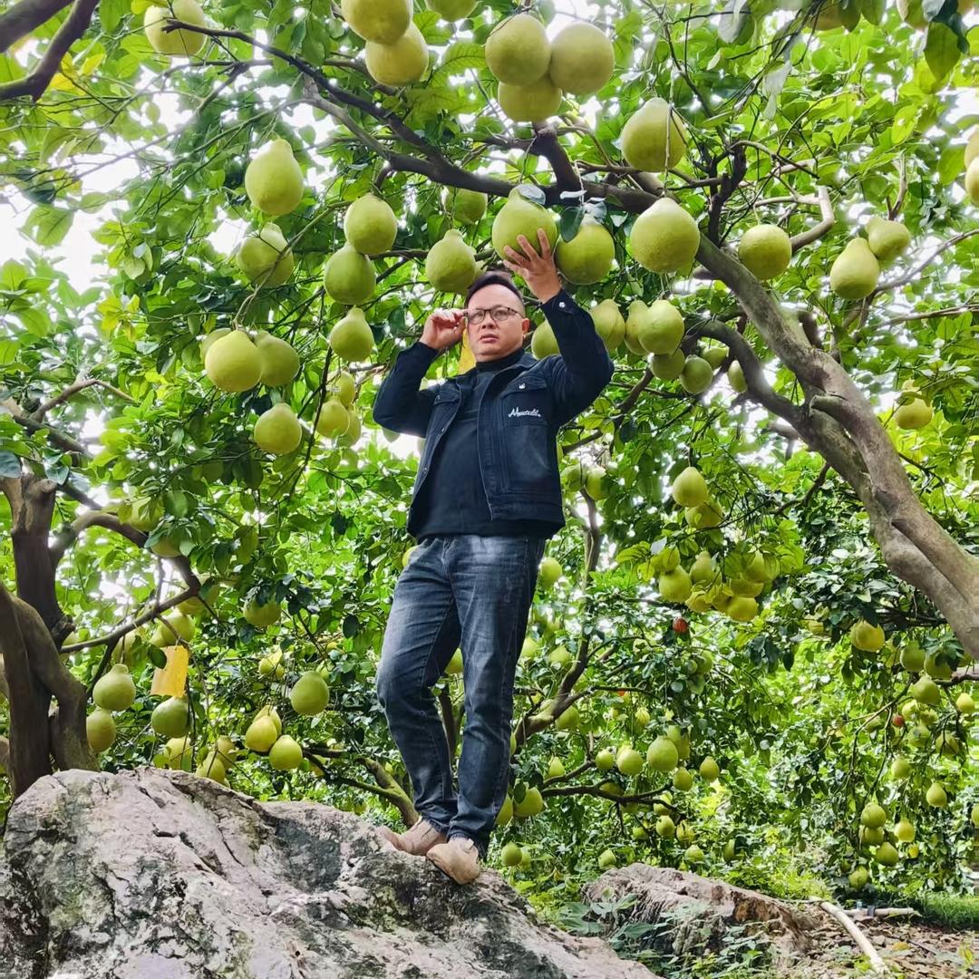 种果树的理发师
