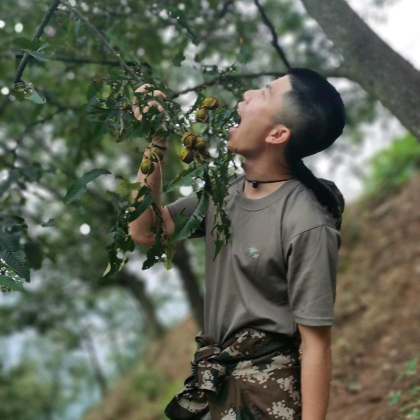 天天（腰果专场）