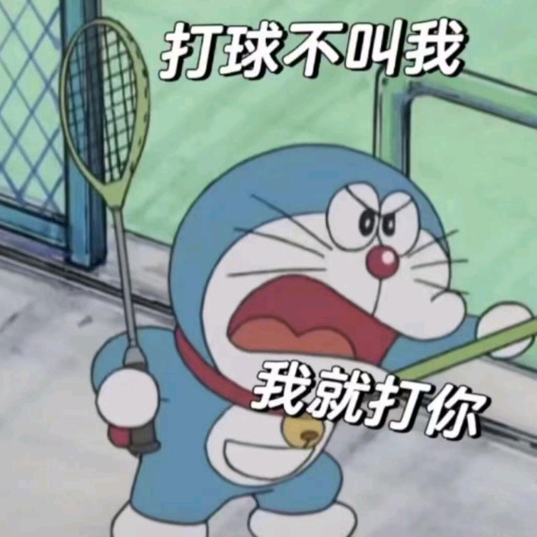 羽毛球大侠