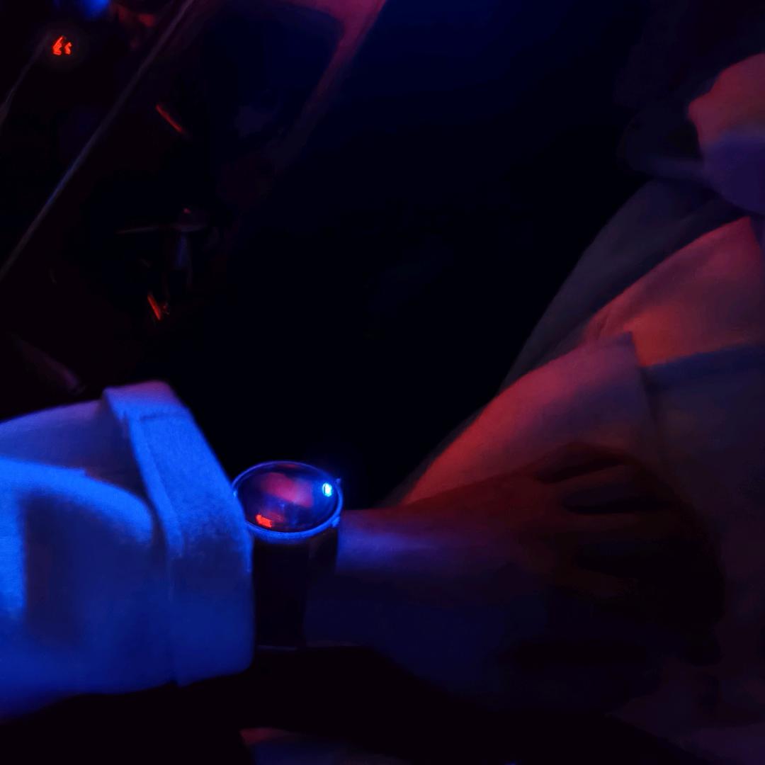 プ___ ^.^ 玫 瑰   不開了。