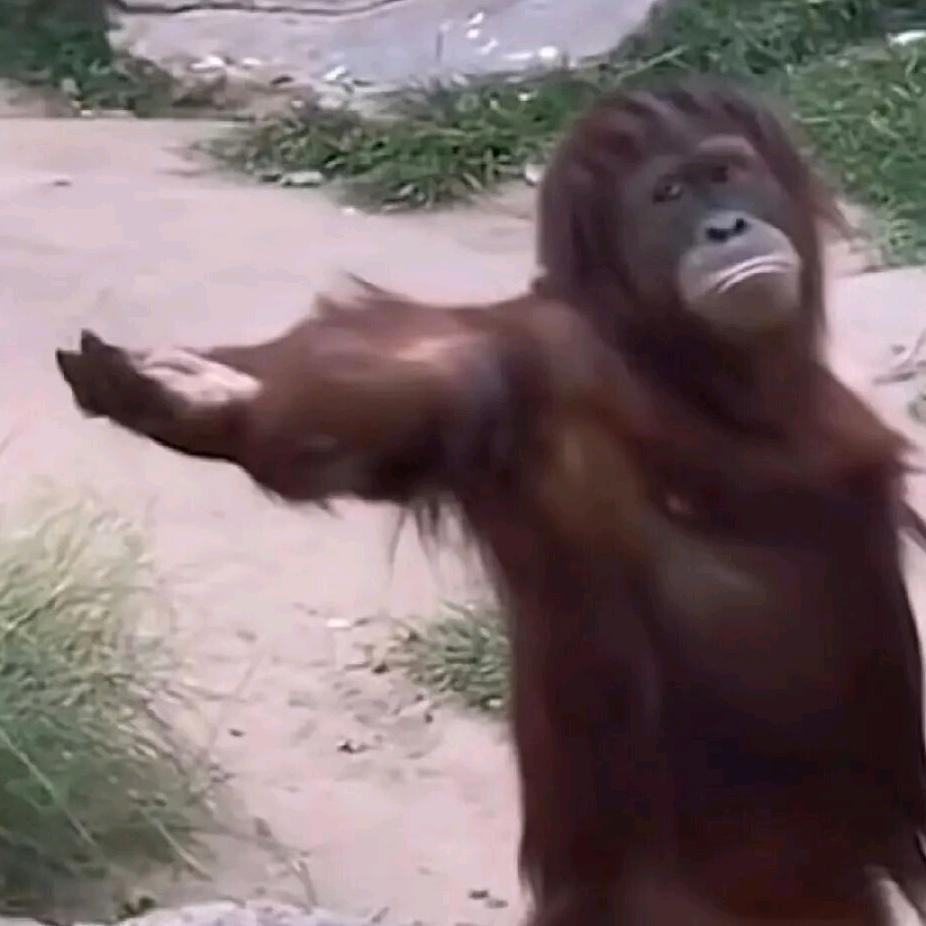 睁开眼睛笑啊！