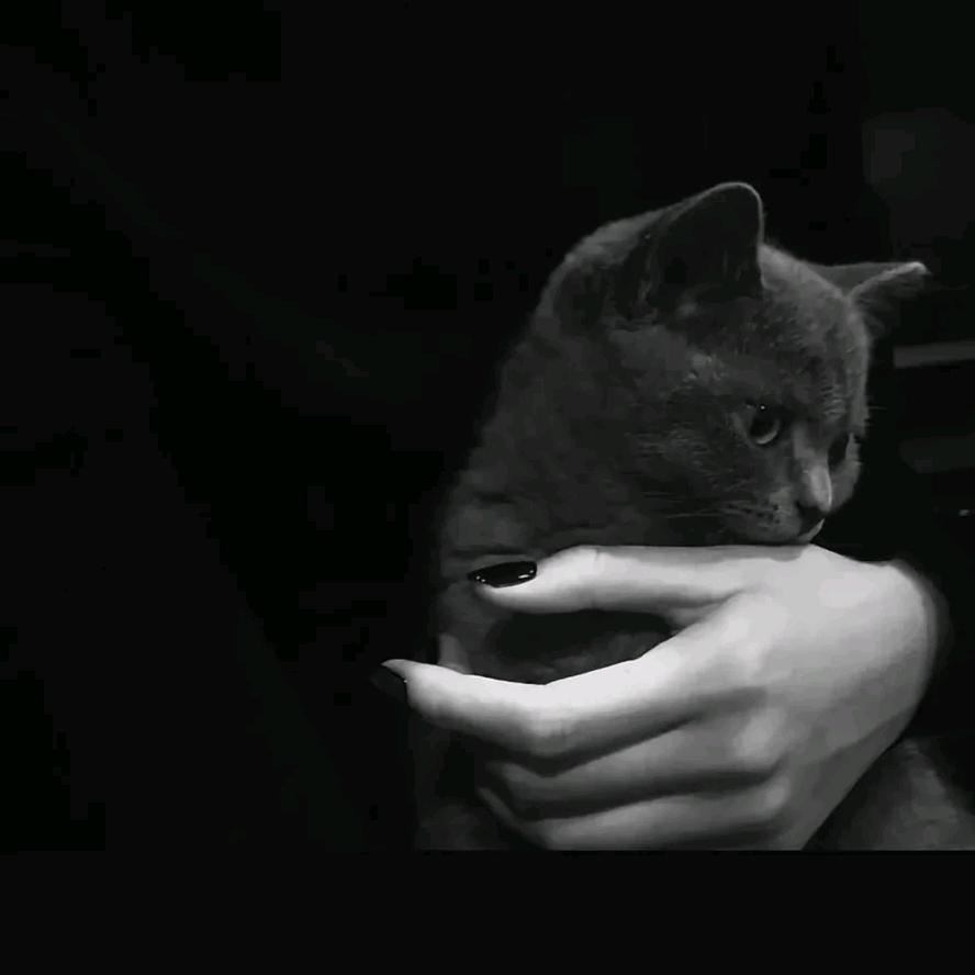 勋仔       🕴🏻