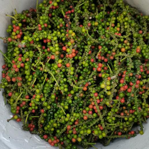 🍎( 知足常乐 )耶~🍎