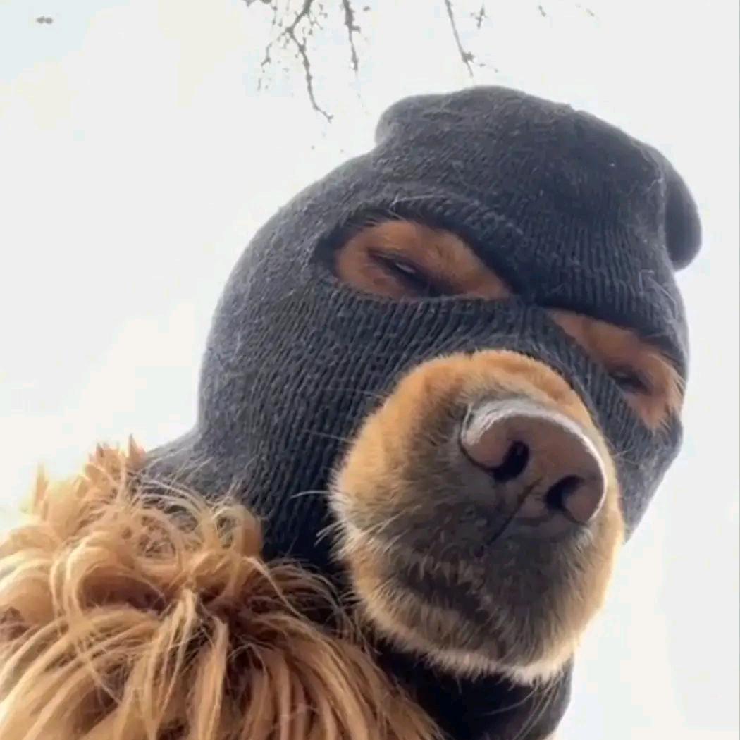 -○布鲁布鲁○-