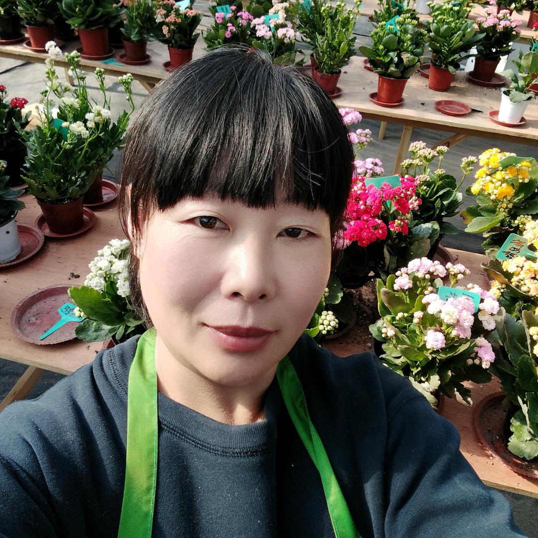 圆圆妈