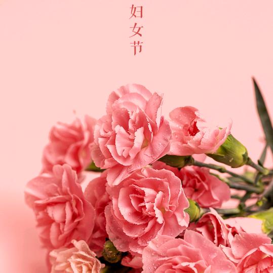 评水相逢