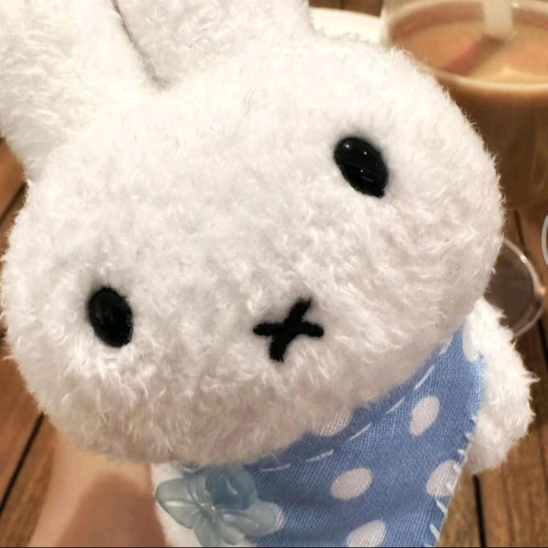 魅力小蛋挞