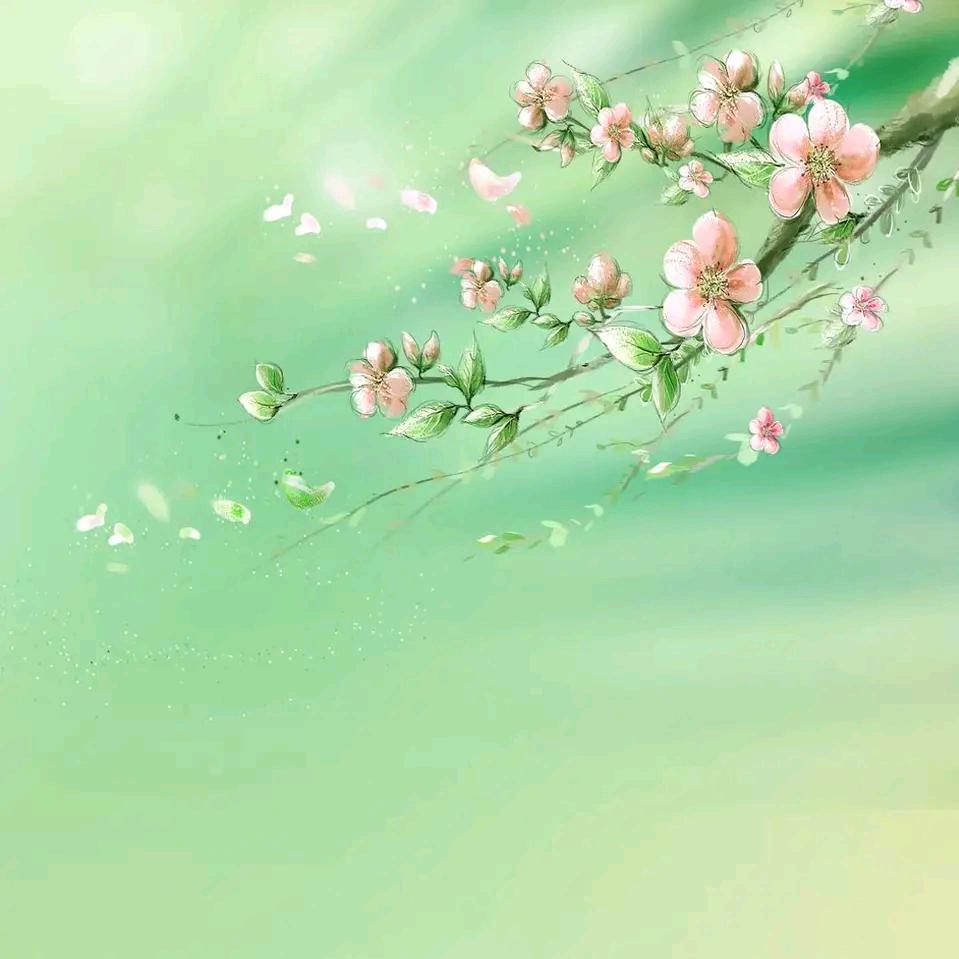 橙亦