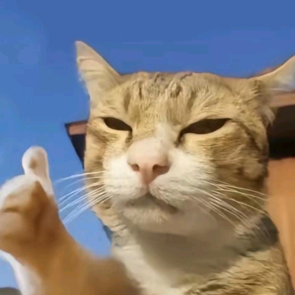 东风终自由