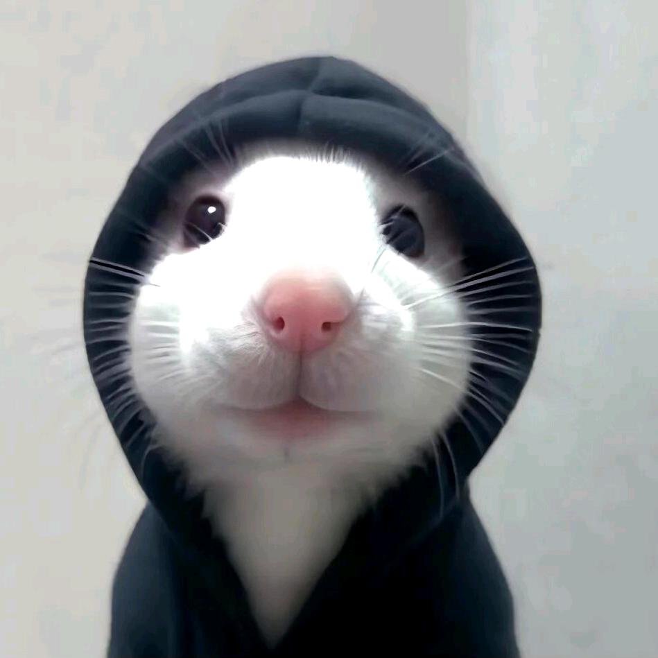 巜艻
