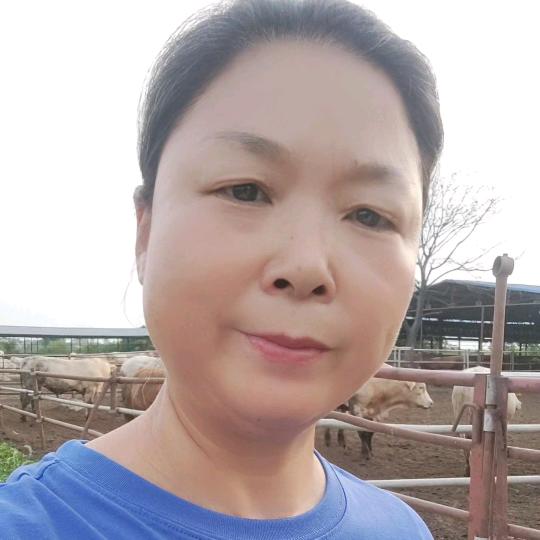 养牛叶姐农产品