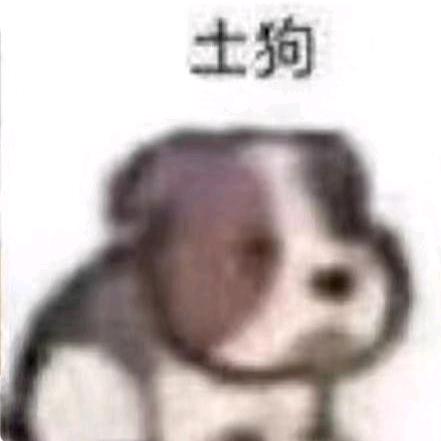 懒觉
