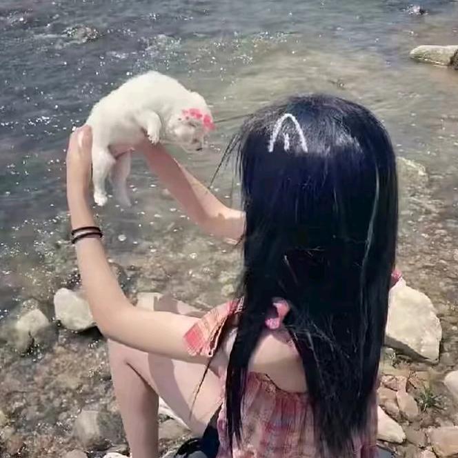 小云☁️想吃糖