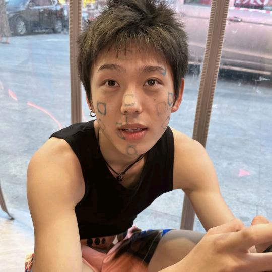 不做画饼的梵高