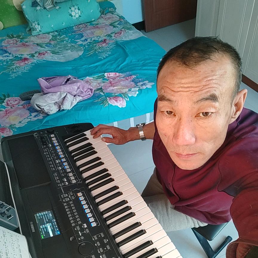 零基础，自娱自乐电子琴业余爱好者