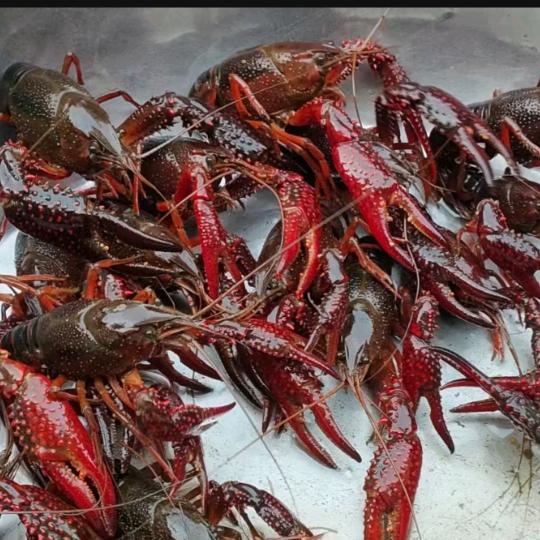 格局打开&~~~❤️态放好