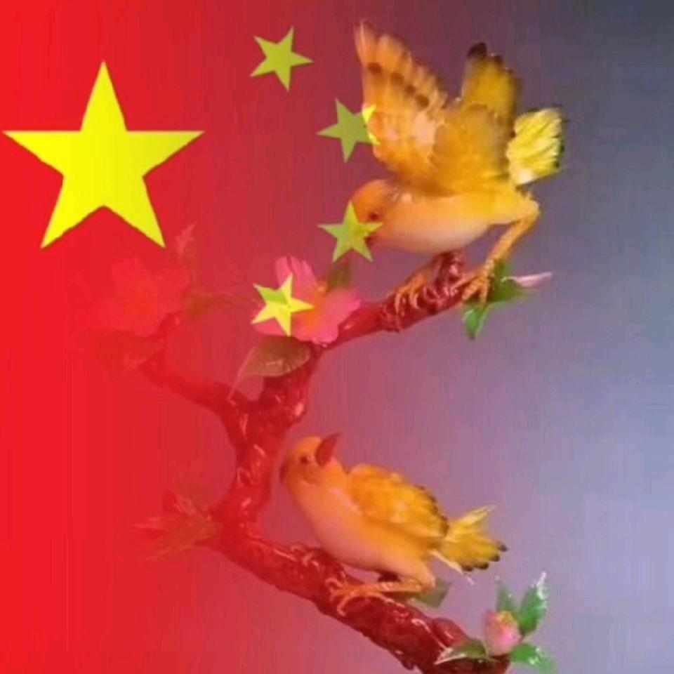 亮剑