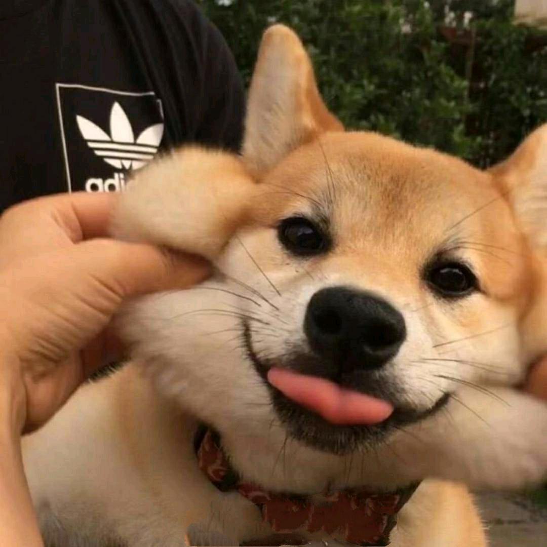 乌鸦说情话.