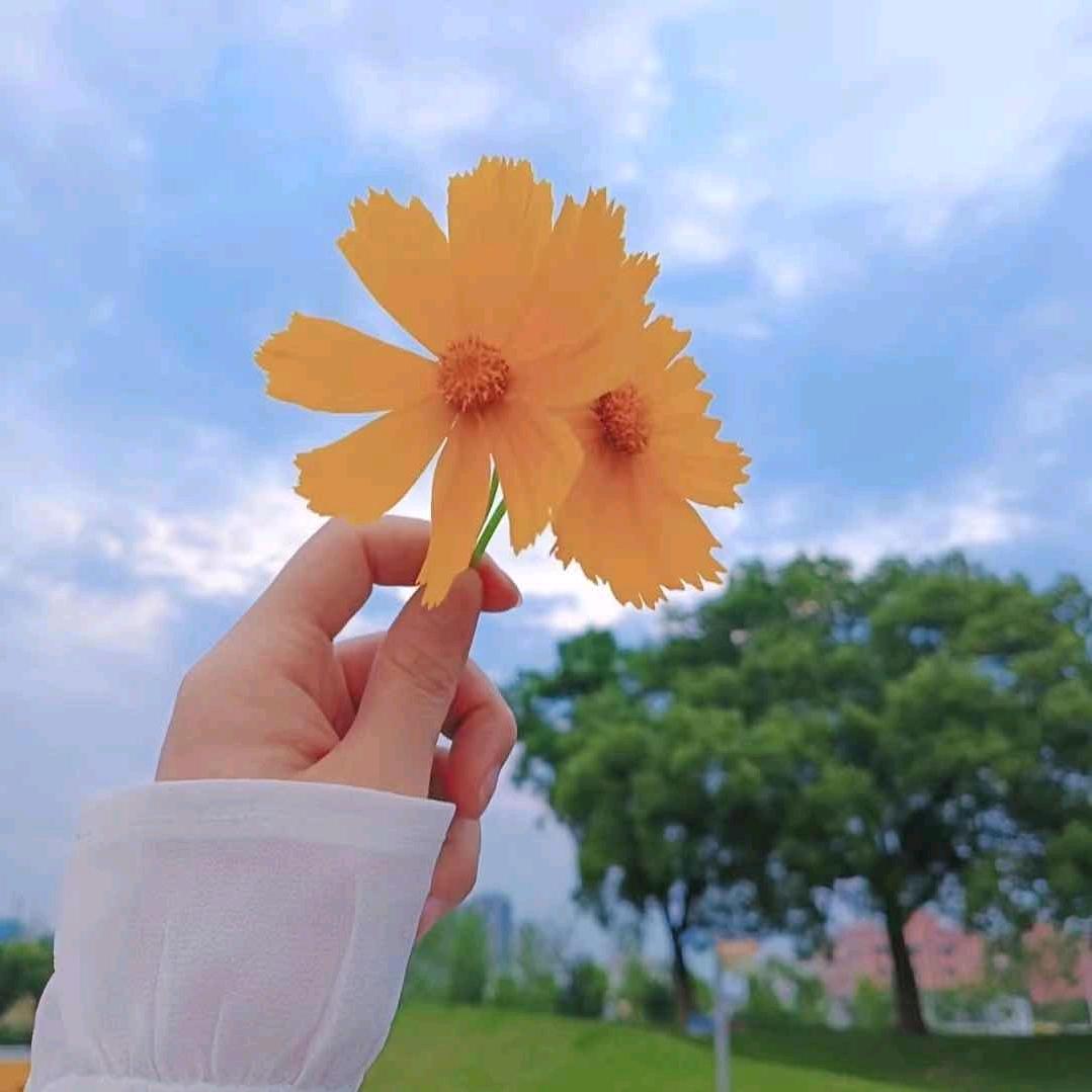 小不点