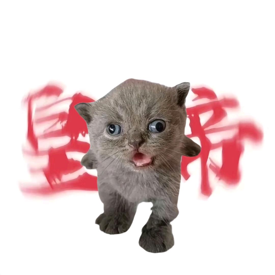 猫老大