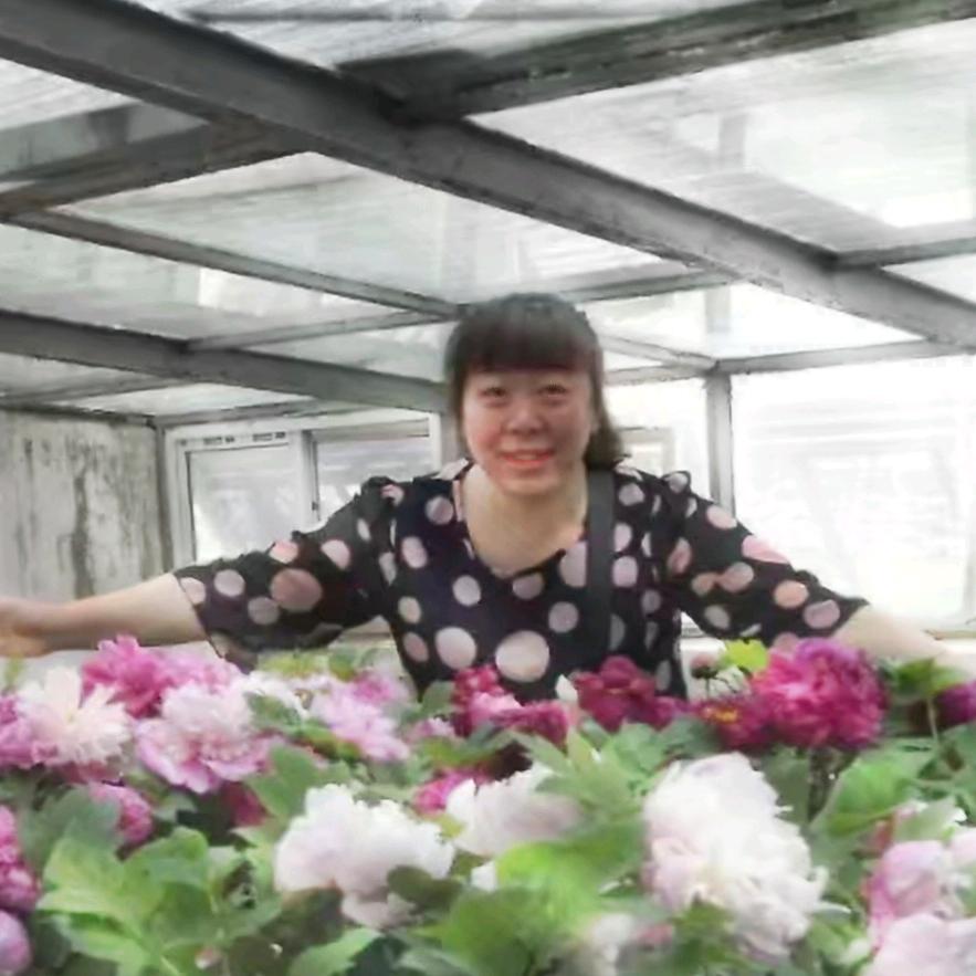 铜梁装修窗帘墙布批发