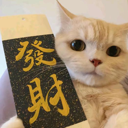 招财猫🐱