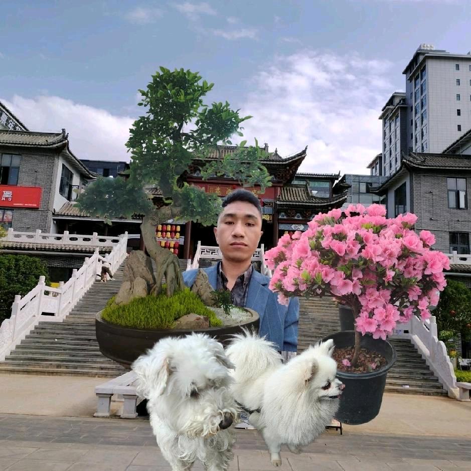 （宝莲灯蒋）%？？