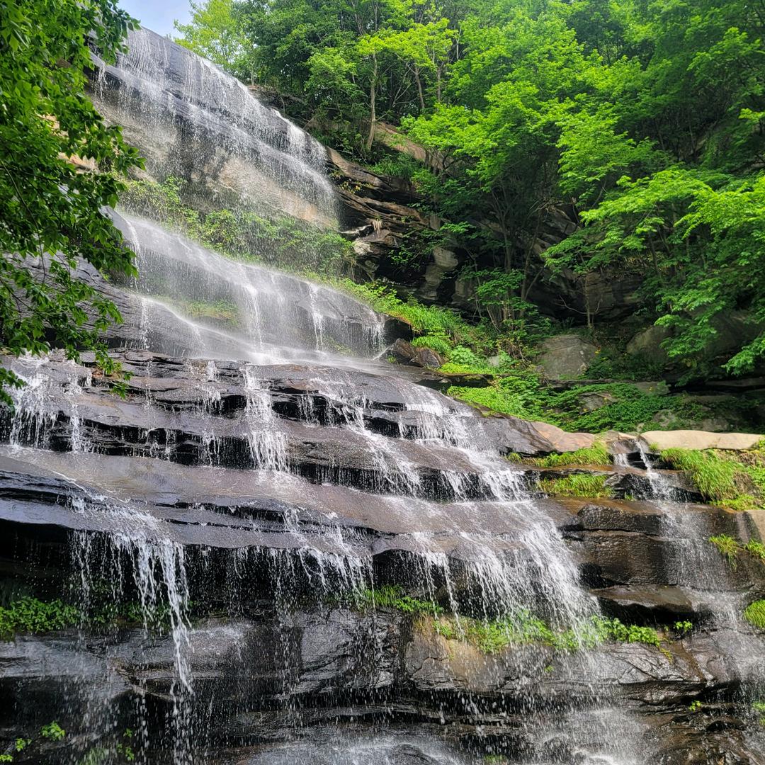 我命由我不由天