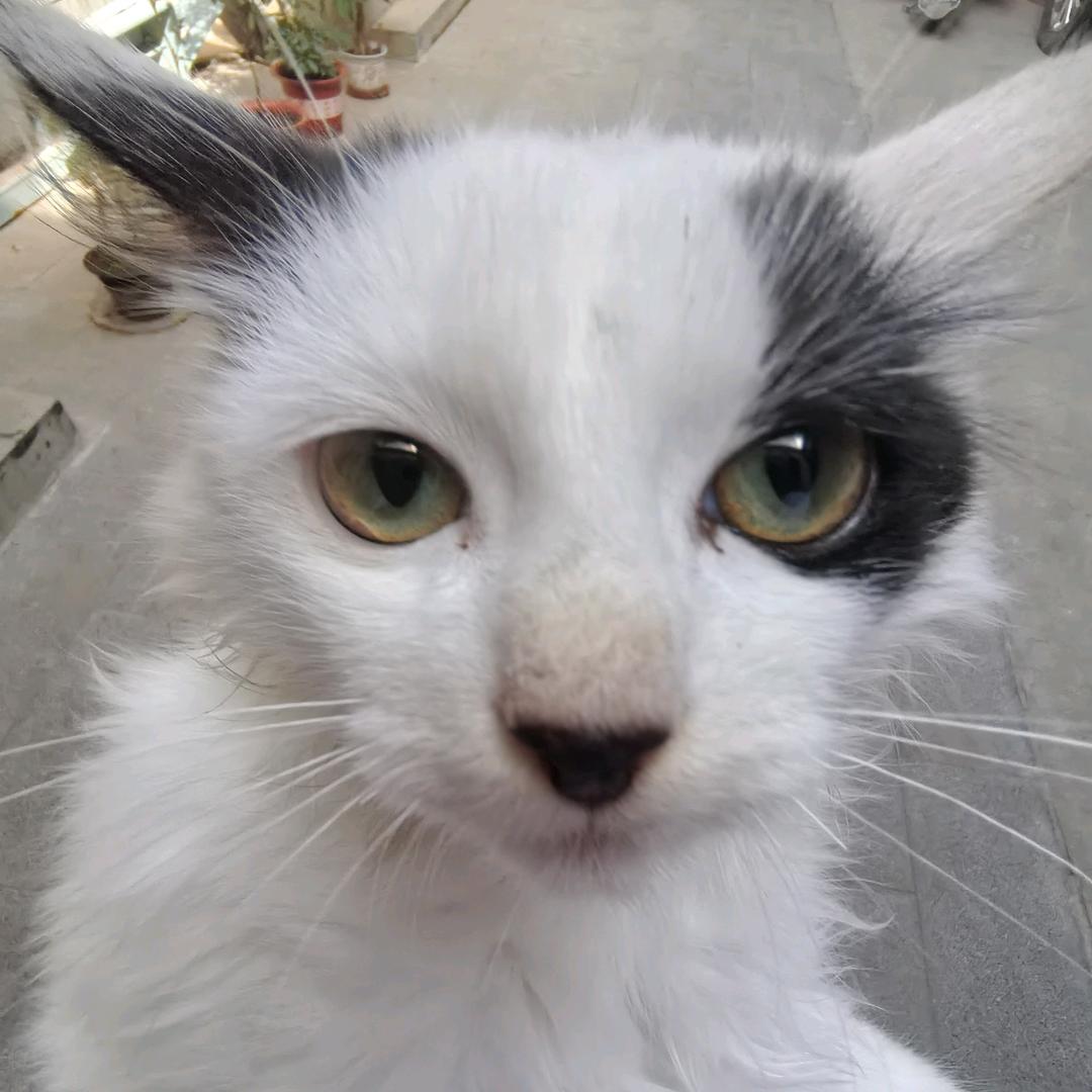 我叫山奇木南。