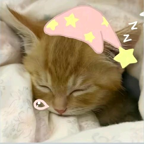 乖杏阮^