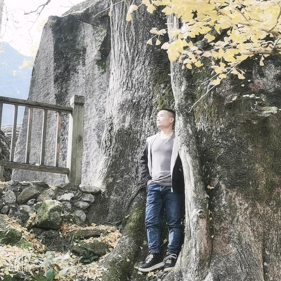 谭笑风声